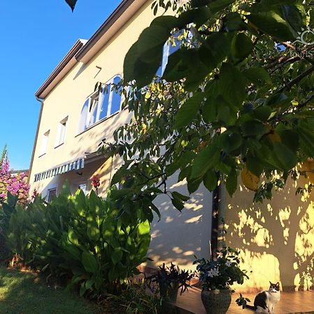 Bozica House With Apartments Murine المظهر الخارجي الصورة
