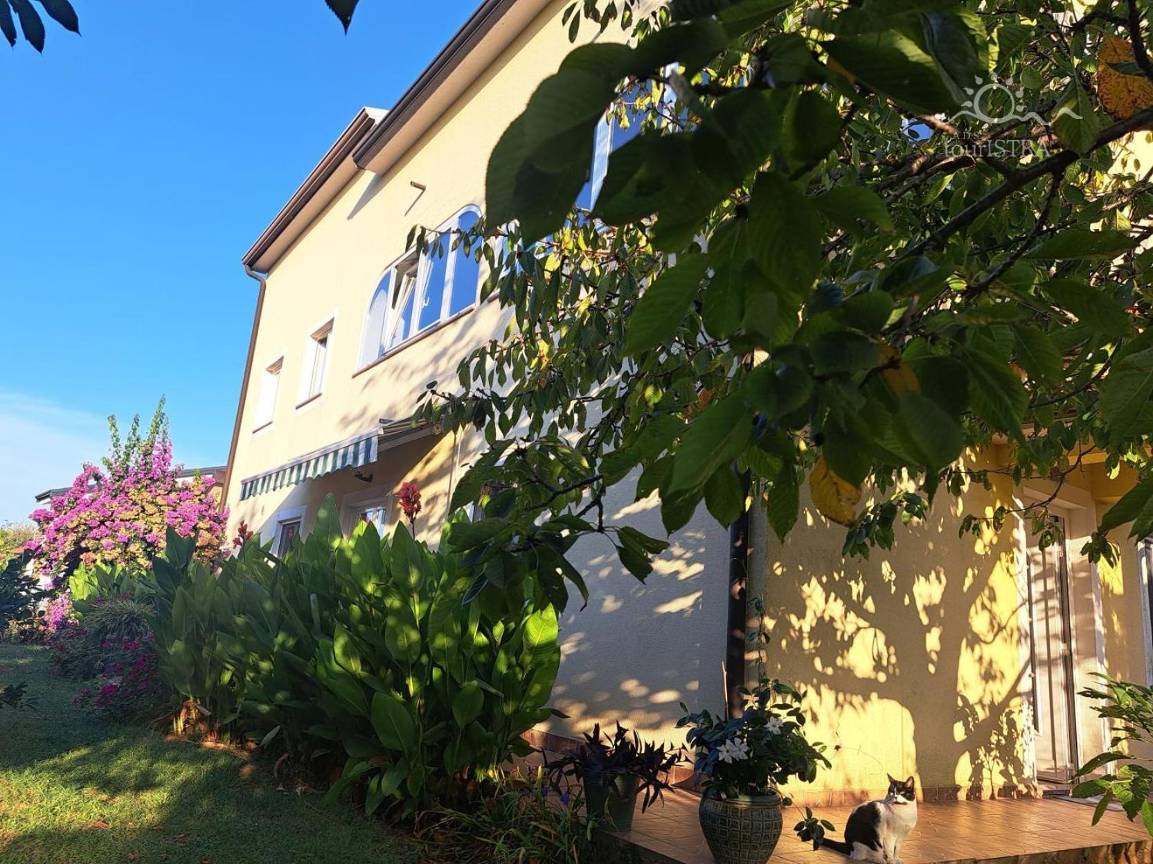 Bozica House With Apartments Murine المظهر الخارجي الصورة